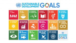Plan The Global Goals Campaign In Partnership With Sawa