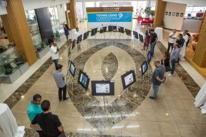 UAE Young Lions Cyber Competition 2016