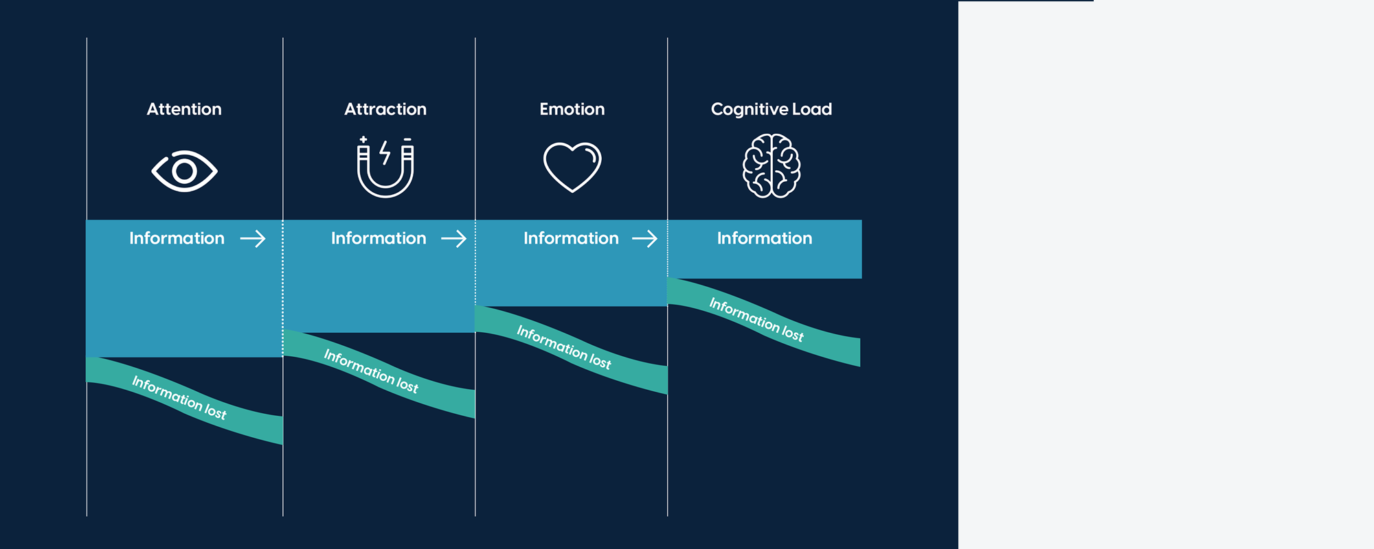 Cinema Neuroscience Study